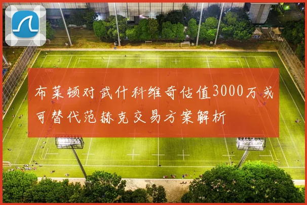 布莱顿对武什科维奇估值3000万或可替代范赫克交易方案解析